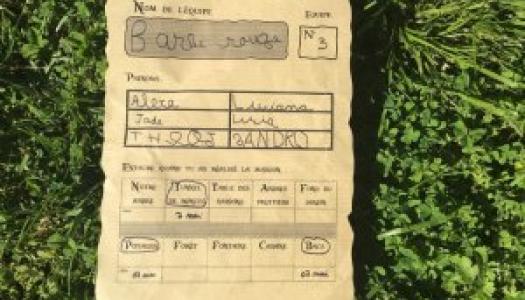 image chasse trésor