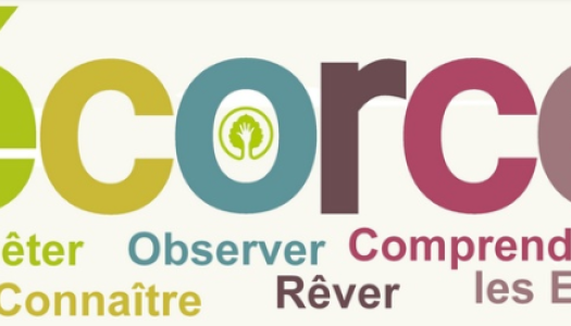 Ecorce 79